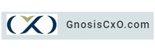 GnosisCxO - Top Interim Services Providers GnosisCxO