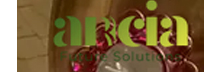 Ancia Future Services - Top Leadership Development Training/Coaching Companies In Middle East Ancia Future Services