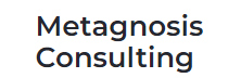 Metagnosis Consulting - Top Organizational Change Management Services Providers In Canada Metagnosis Consulting