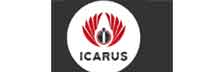 Icarus Consulting