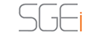 SGEi - Top Organizational Culture Transformation Companies SGEi